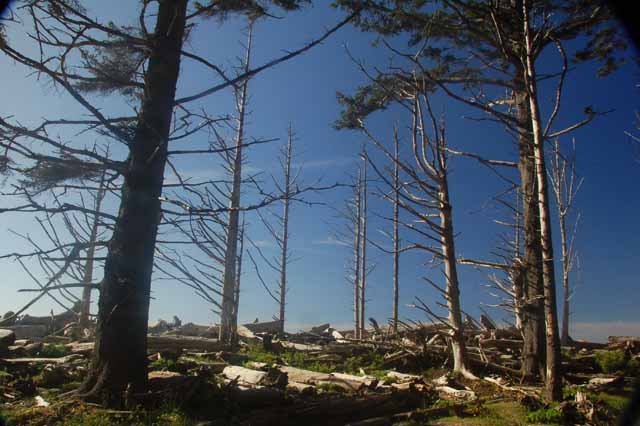 Rialto Beach